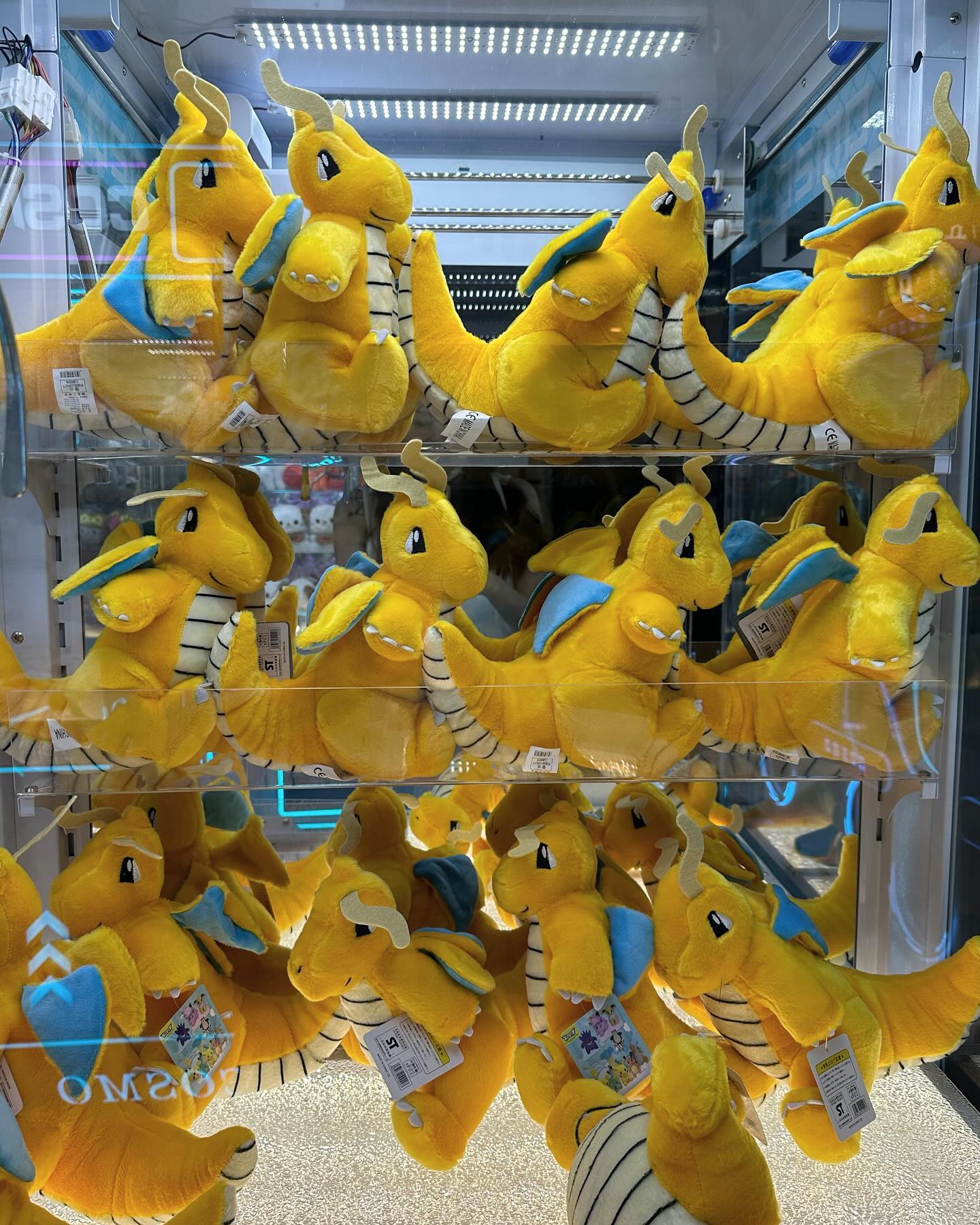 ยิปโซ - อริย์กันตา มหพฤกษ์พงศ์