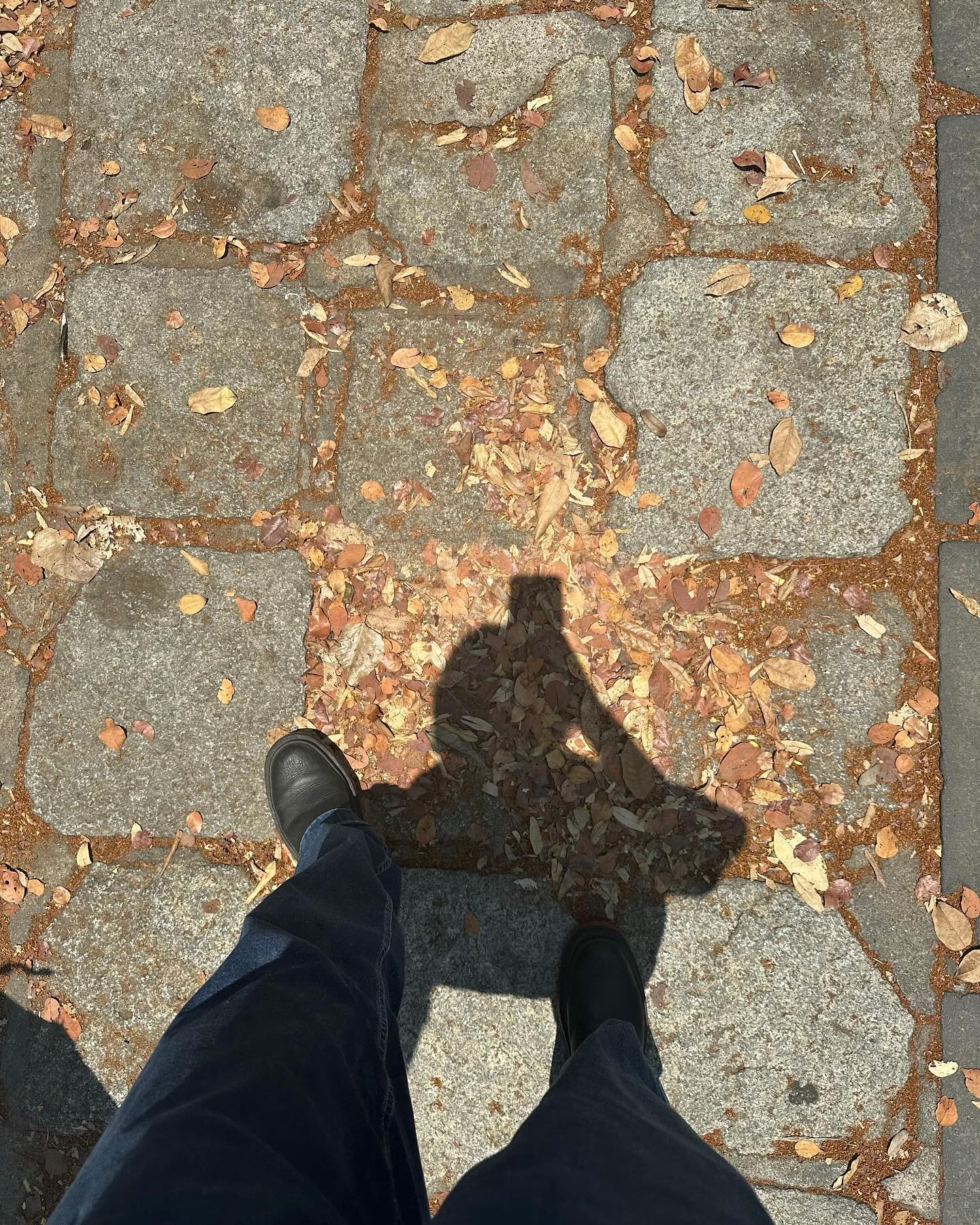 ยิปโซ - อริย์กันตา มหพฤกษ์พงศ์