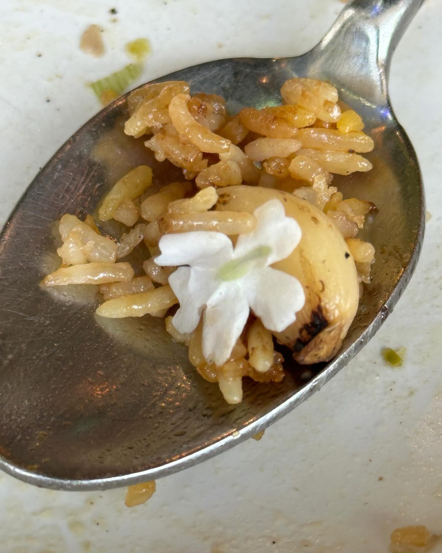 ยิปโซ - อริย์กันตา มหพฤกษ์พงศ์