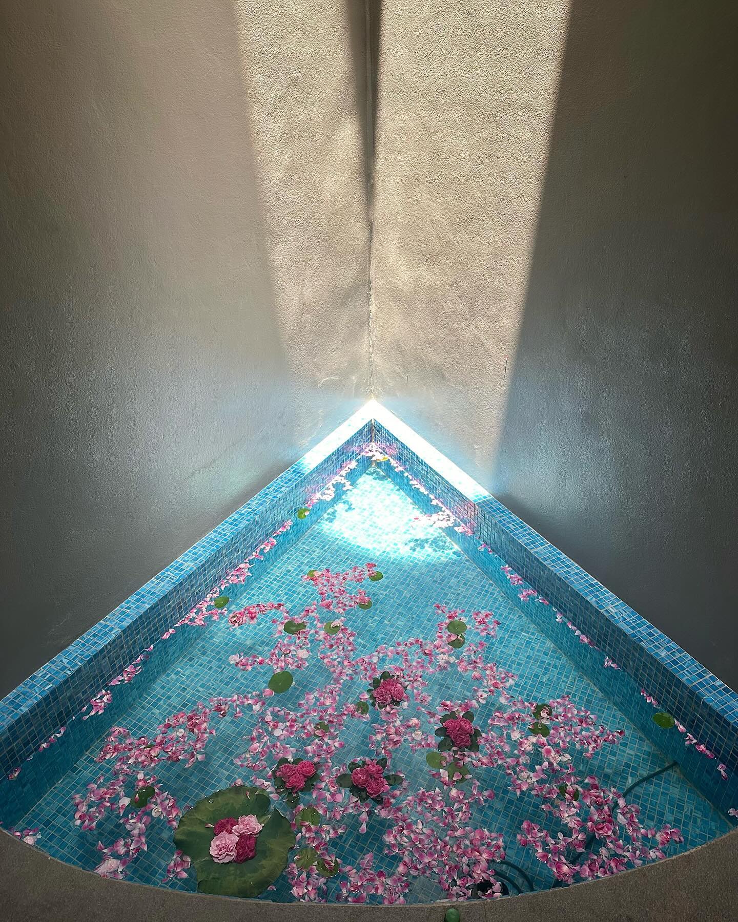 ยิปโซ - อริย์กันตา มหพฤกษ์พงศ์