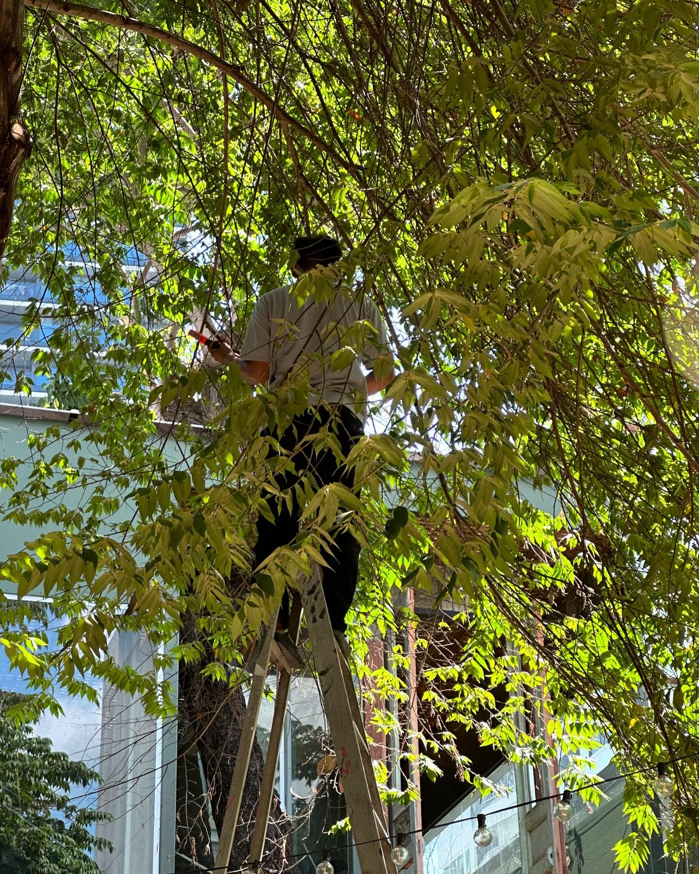 ยิปโซ - อริย์กันตา มหพฤกษ์พงศ์