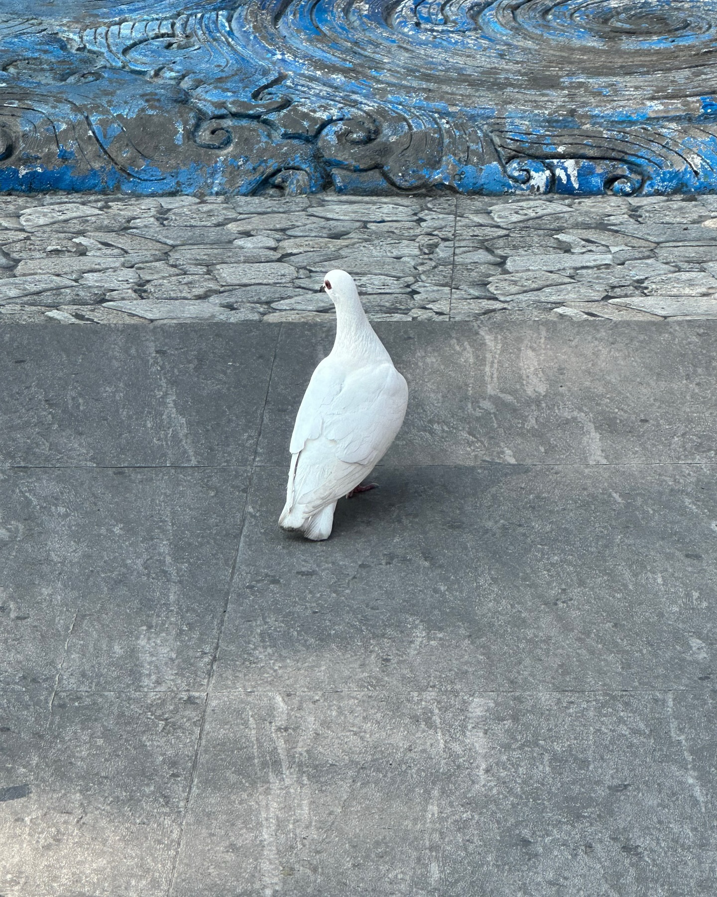 ยิปโซ - อริย์กันตา มหพฤกษ์พงศ์