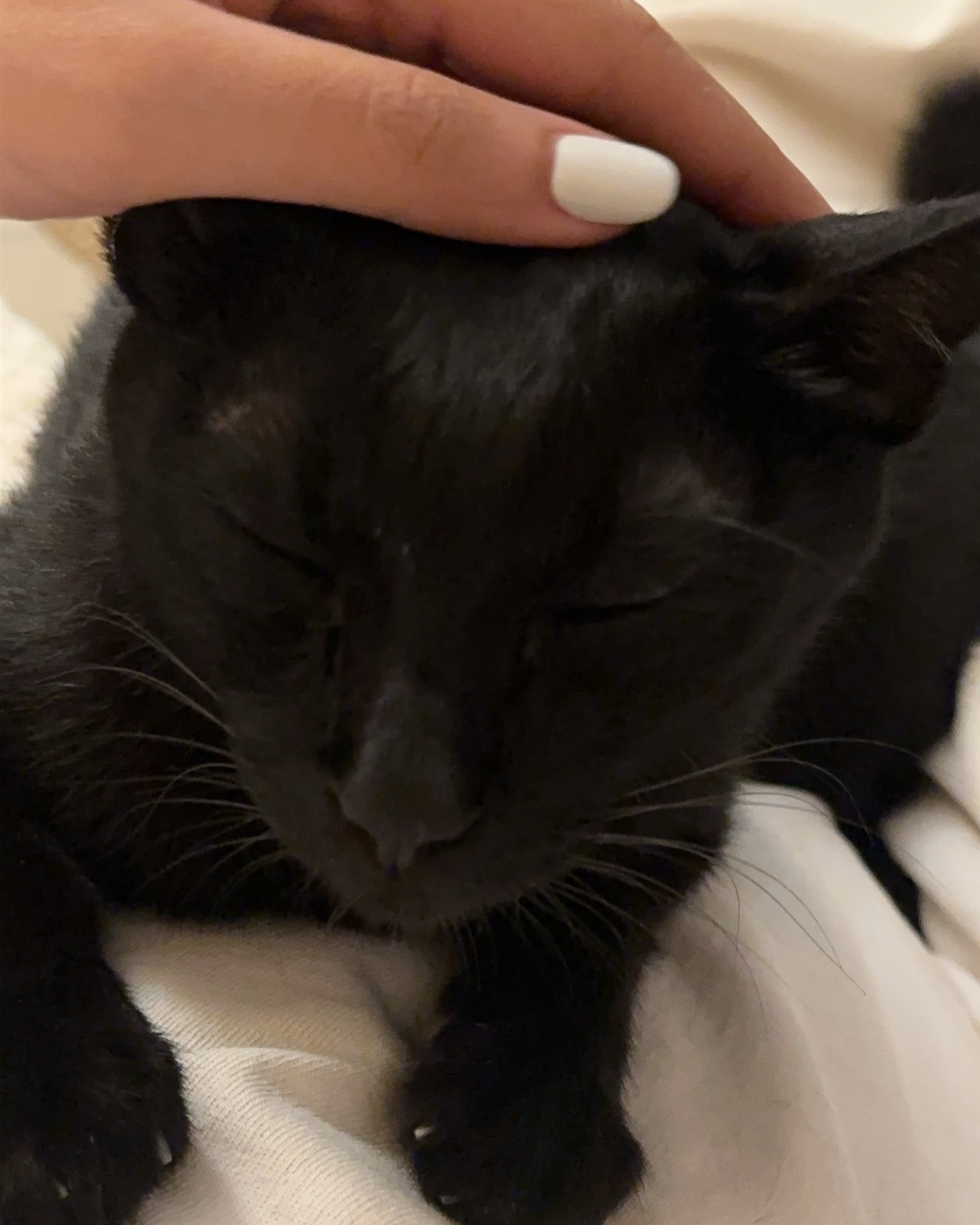 ยิปโซ - อริย์กันตา มหพฤกษ์พงศ์