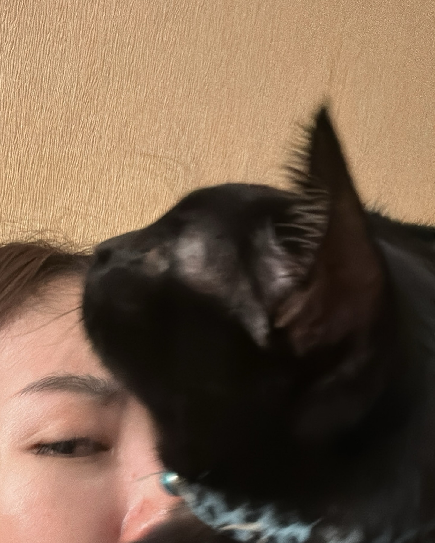 ยิปโซ - อริย์กันตา มหพฤกษ์พงศ์