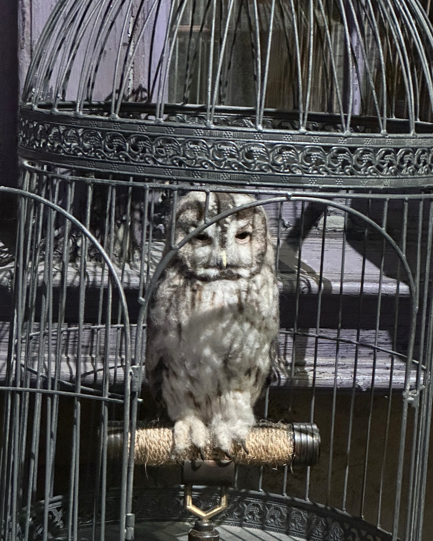 ยิปโซ - อริย์กันตา มหพฤกษ์พงศ์