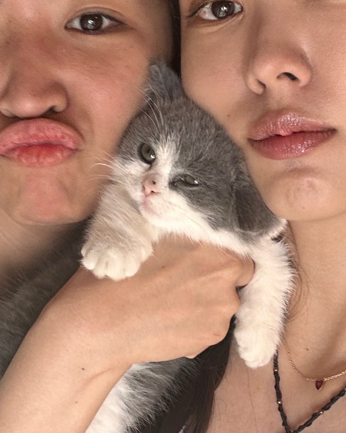 ยิปโซ - อริย์กันตา มหพฤกษ์พงศ์