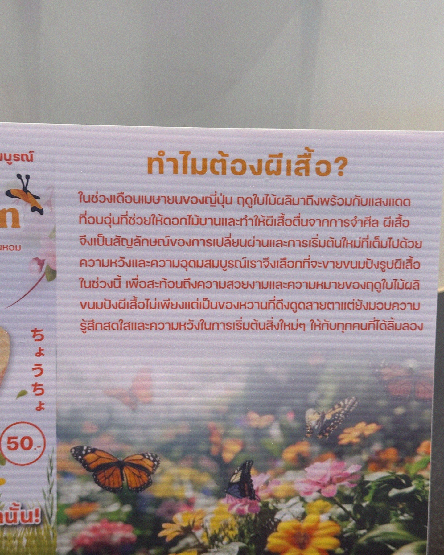 ยิปโซ - อริย์กันตา มหพฤกษ์พงศ์