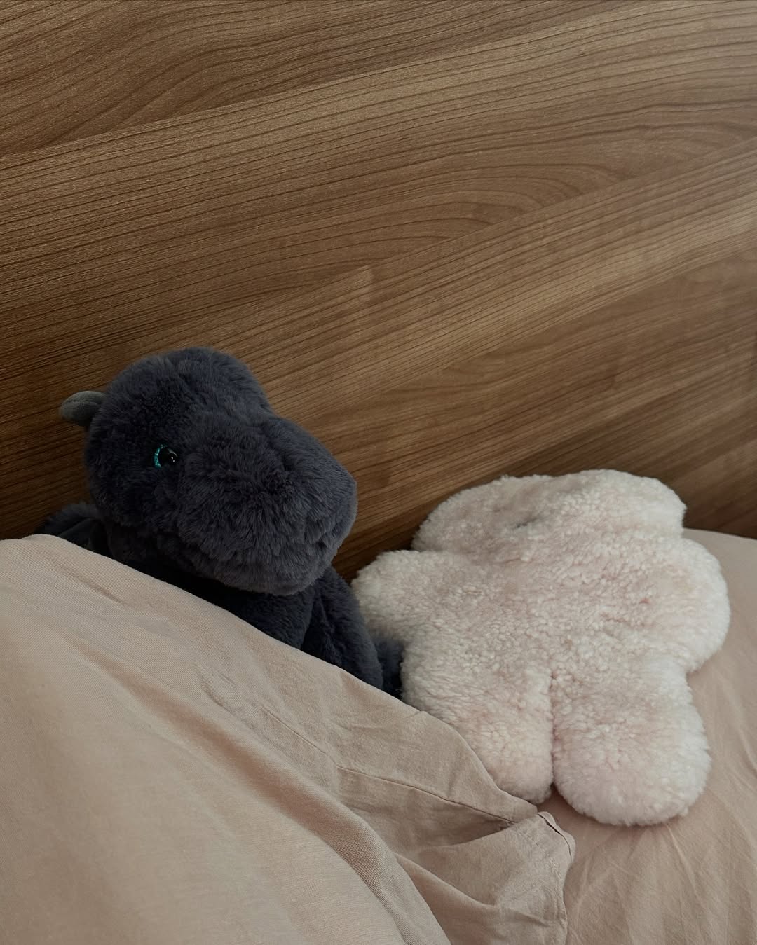 ยิปโซ - อริย์กันตา มหพฤกษ์พงศ์
