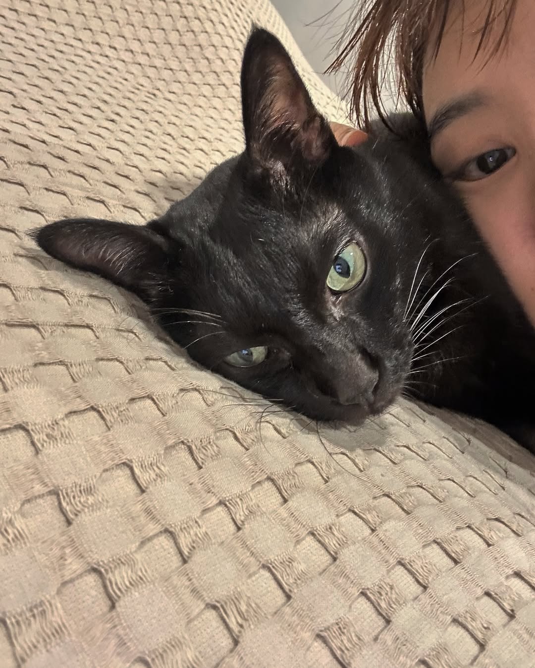 ยิปโซ - อริย์กันตา มหพฤกษ์พงศ์