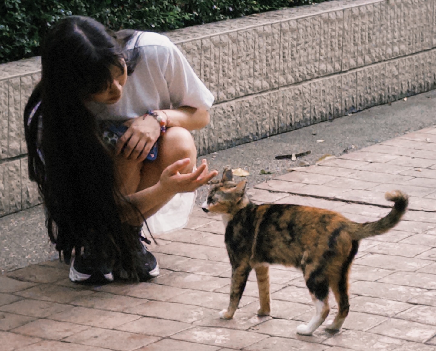 ยิปโซ - อริย์กันตา มหพฤกษ์พงศ์