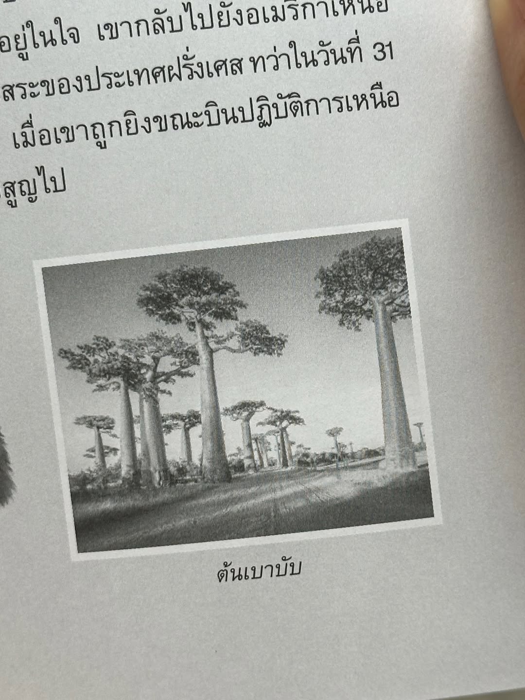ยิปโซ - อริย์กันตา มหพฤกษ์พงศ์