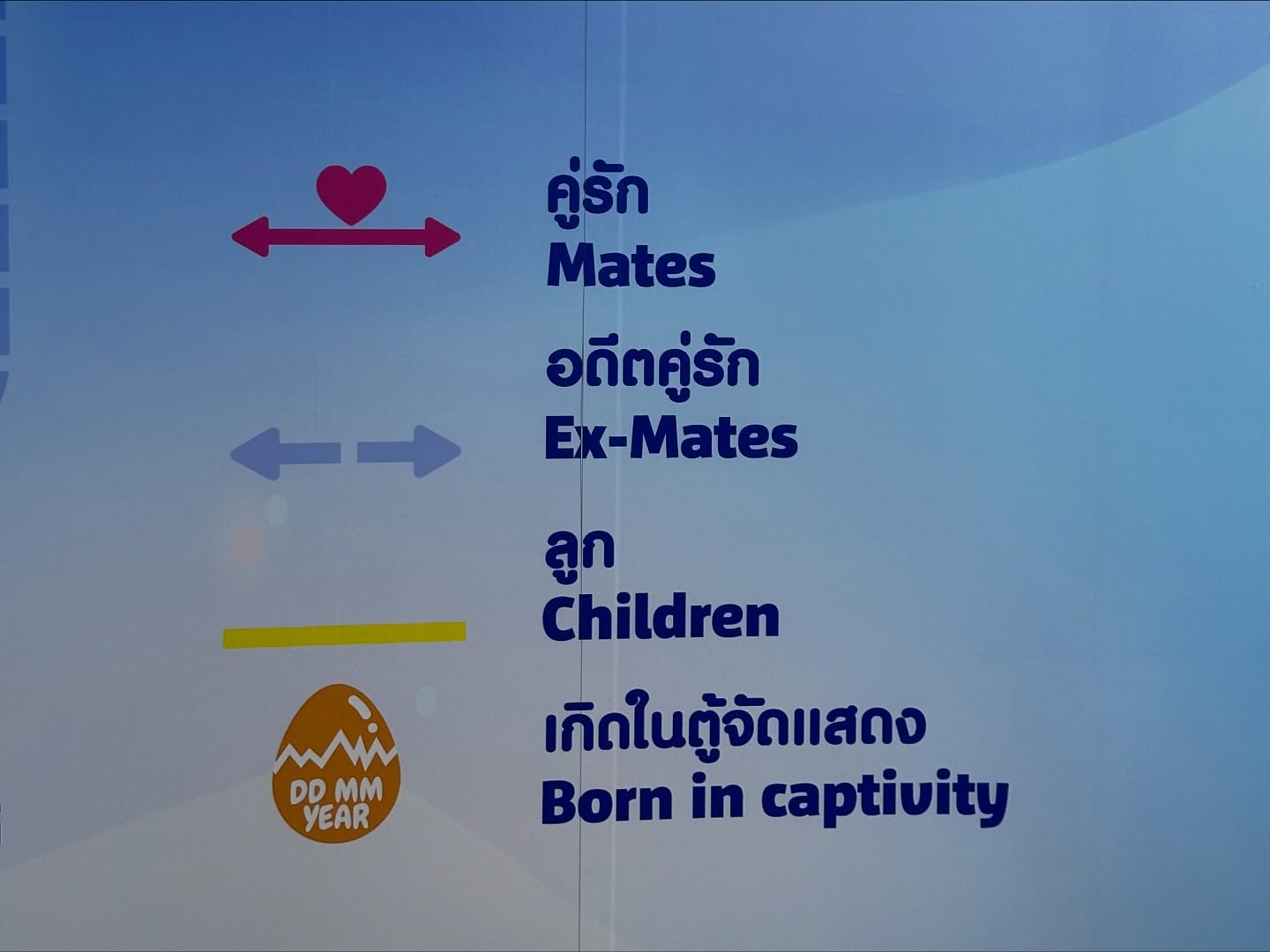 ยิปโซ - อริย์กันตา มหพฤกษ์พงศ์