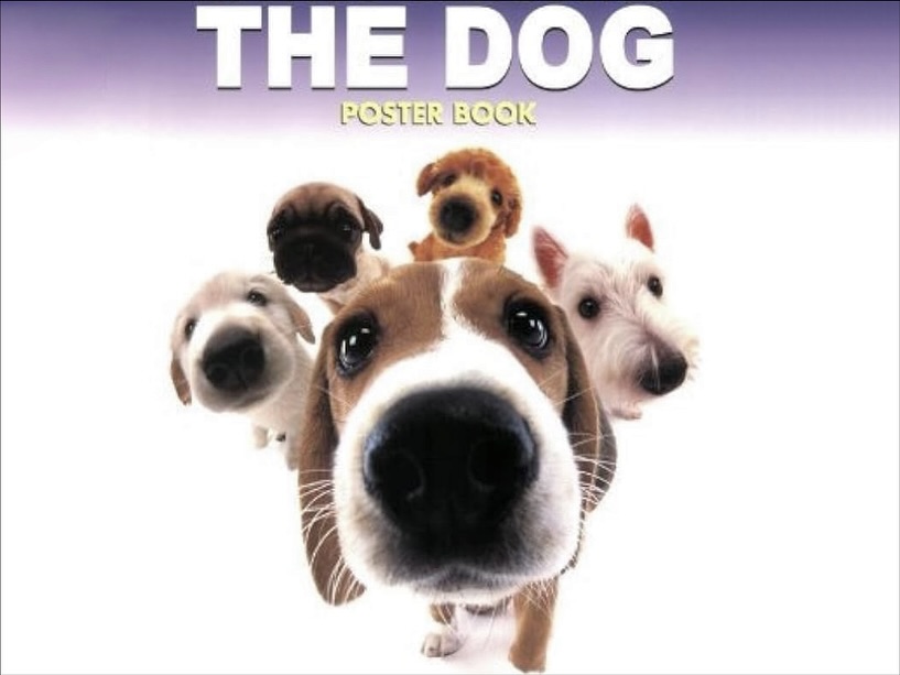 ยิปโซ - อริย์กันตา มหพฤกษ์พงศ์