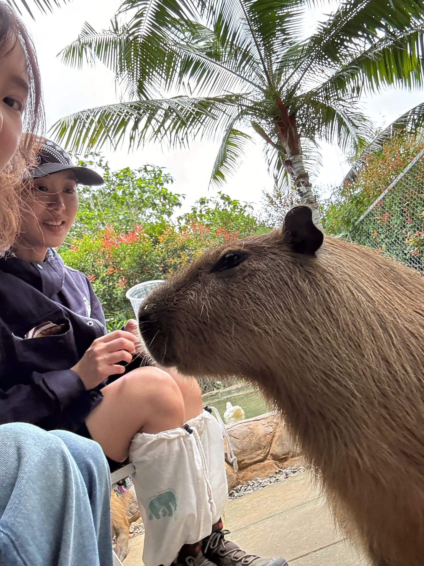 ยิปโซ - อริย์กันตา มหพฤกษ์พงศ์