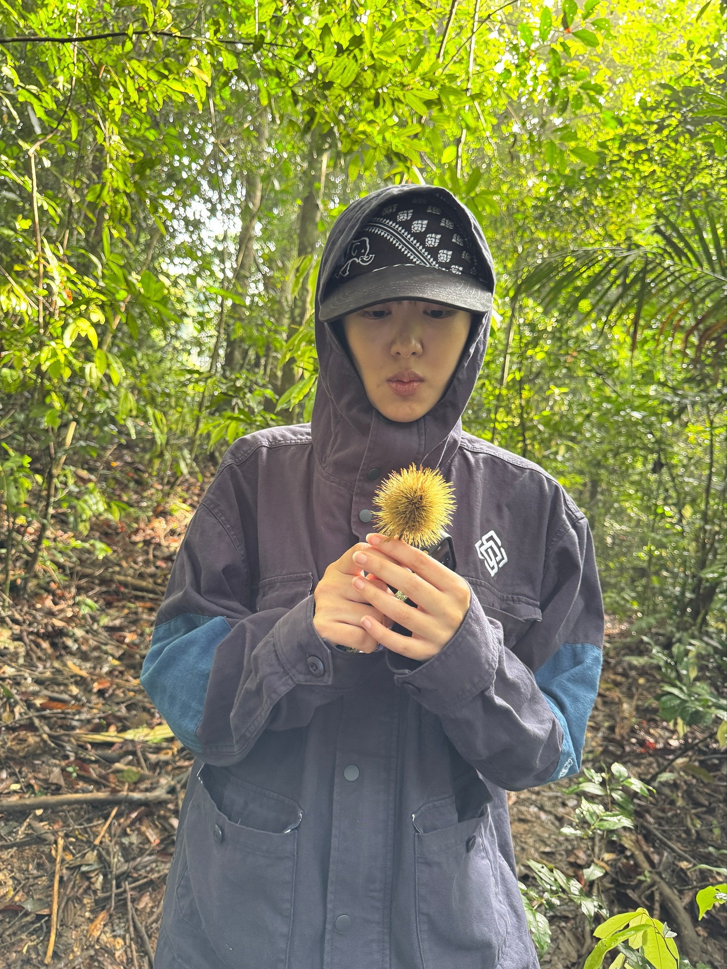 ยิปโซ - อริย์กันตา มหพฤกษ์พงศ์