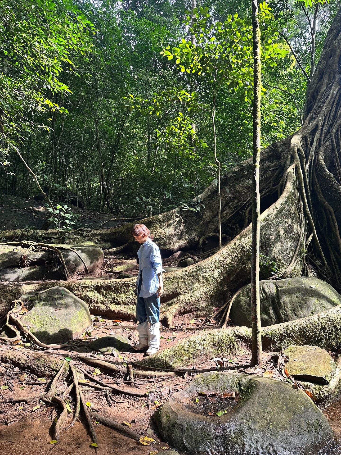 ยิปโซ - อริย์กันตา มหพฤกษ์พงศ์