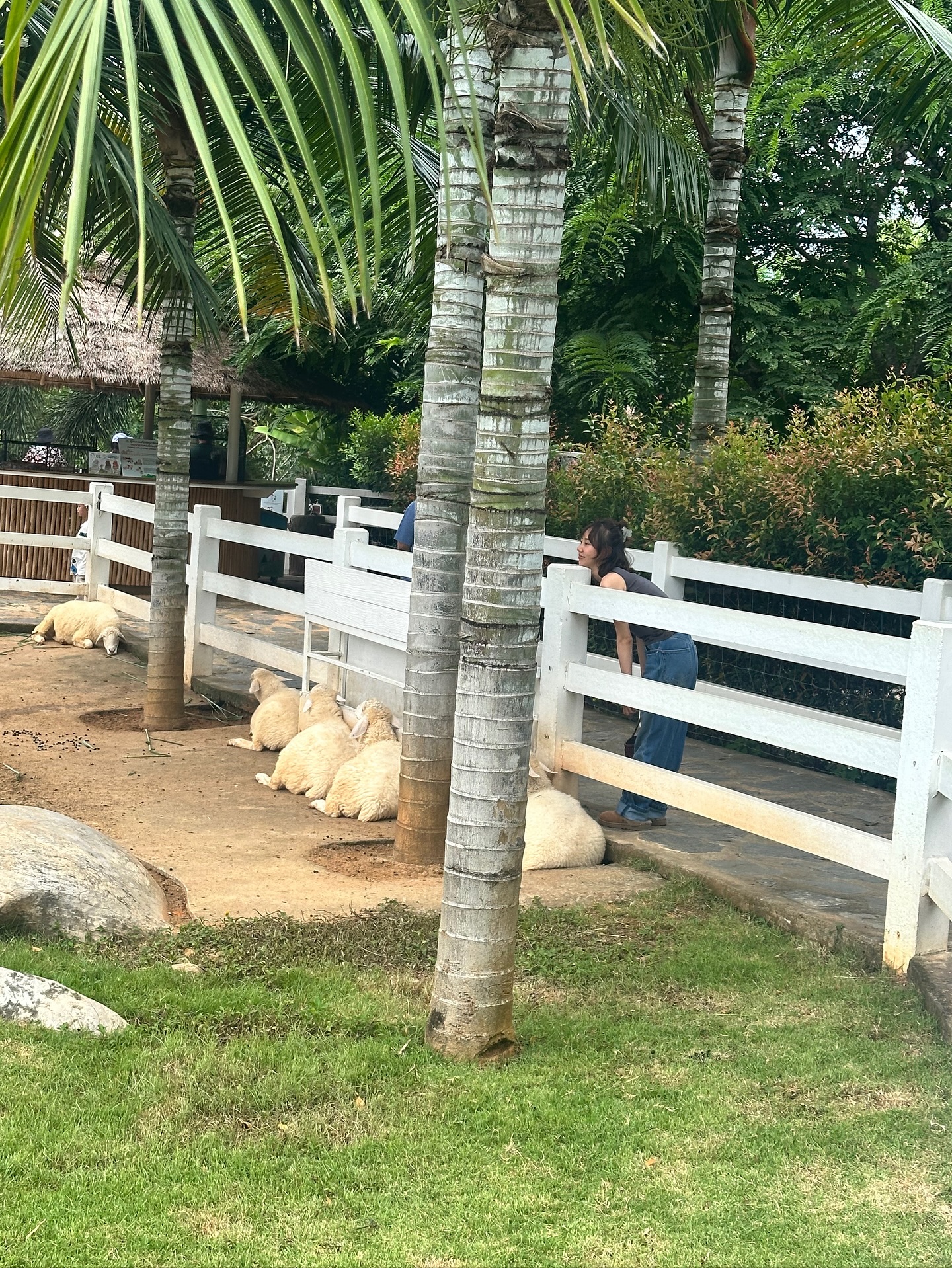 ยิปโซ - อริย์กันตา มหพฤกษ์พงศ์