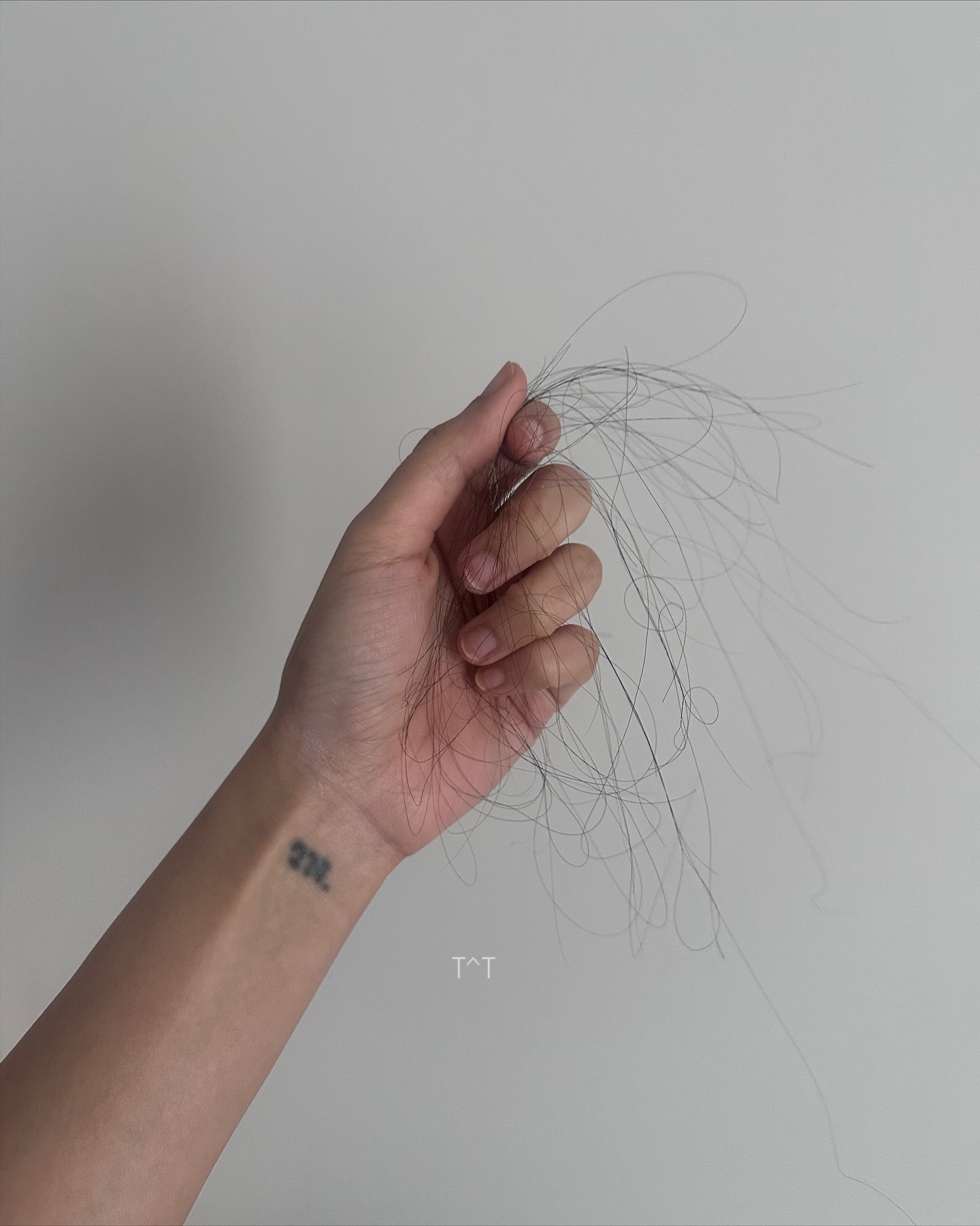 ยิปโซ - อริย์กันตา มหพฤกษ์พงศ์