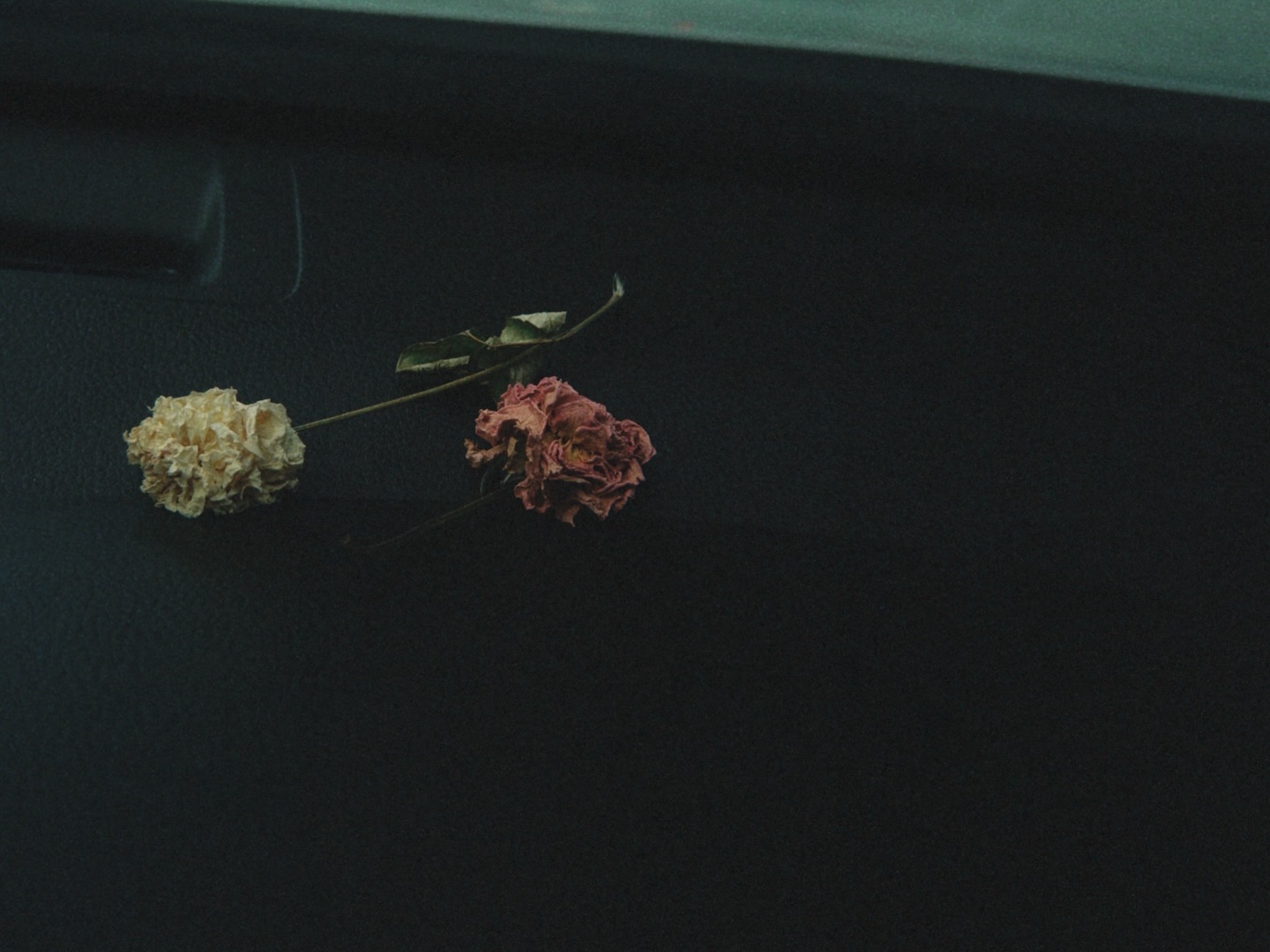 ยิปโซ - อริย์กันตา มหพฤกษ์พงศ์