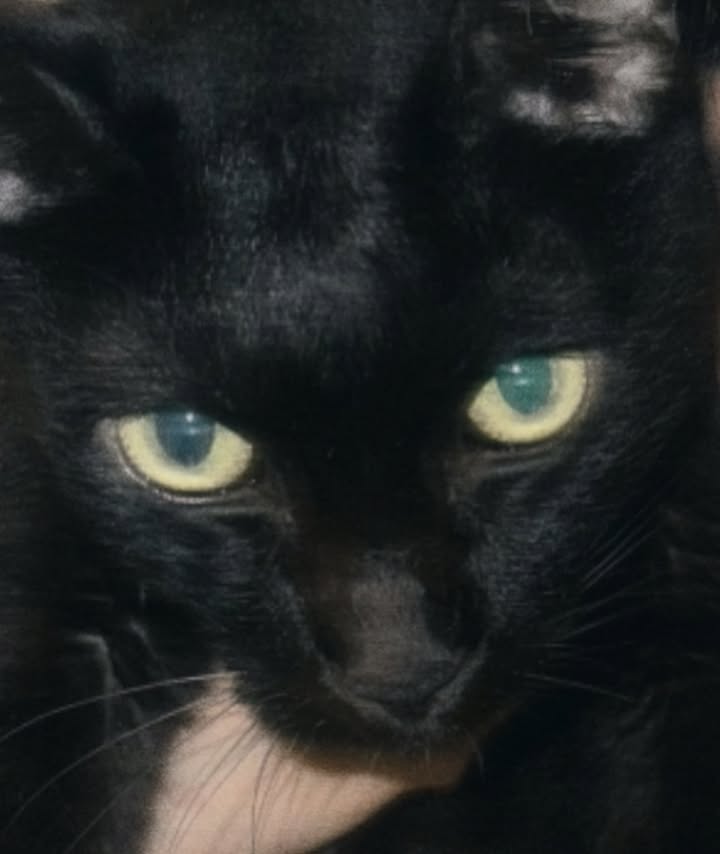 ยิปโซ - อริย์กันตา มหพฤกษ์พงศ์