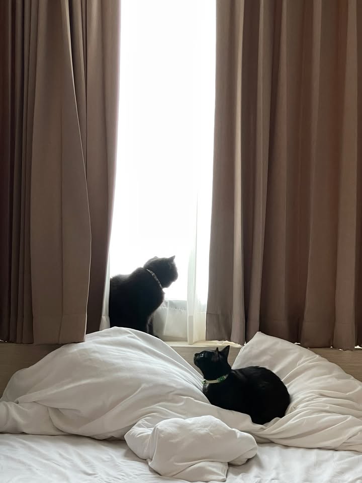 ยิปโซ - อริย์กันตา มหพฤกษ์พงศ์