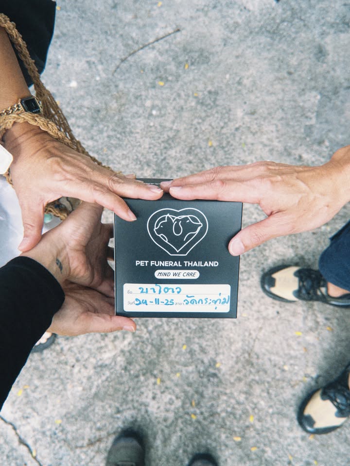 ยิปโซ - อริย์กันตา มหพฤกษ์พงศ์