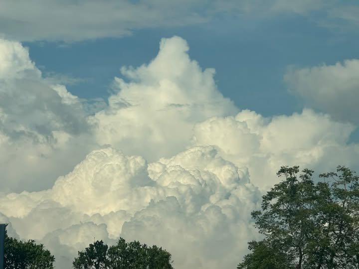 ยิปโซ - อริย์กันตา มหพฤกษ์พงศ์