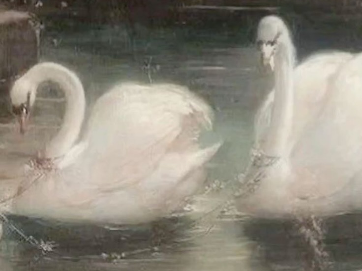 ยิปโซ - อริย์กันตา มหพฤกษ์พงศ์