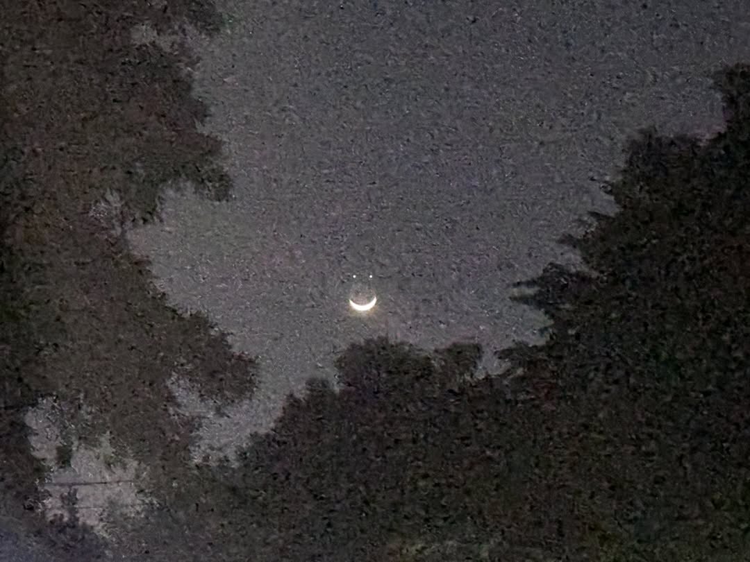 ยิปโซ - อริย์กันตา มหพฤกษ์พงศ์