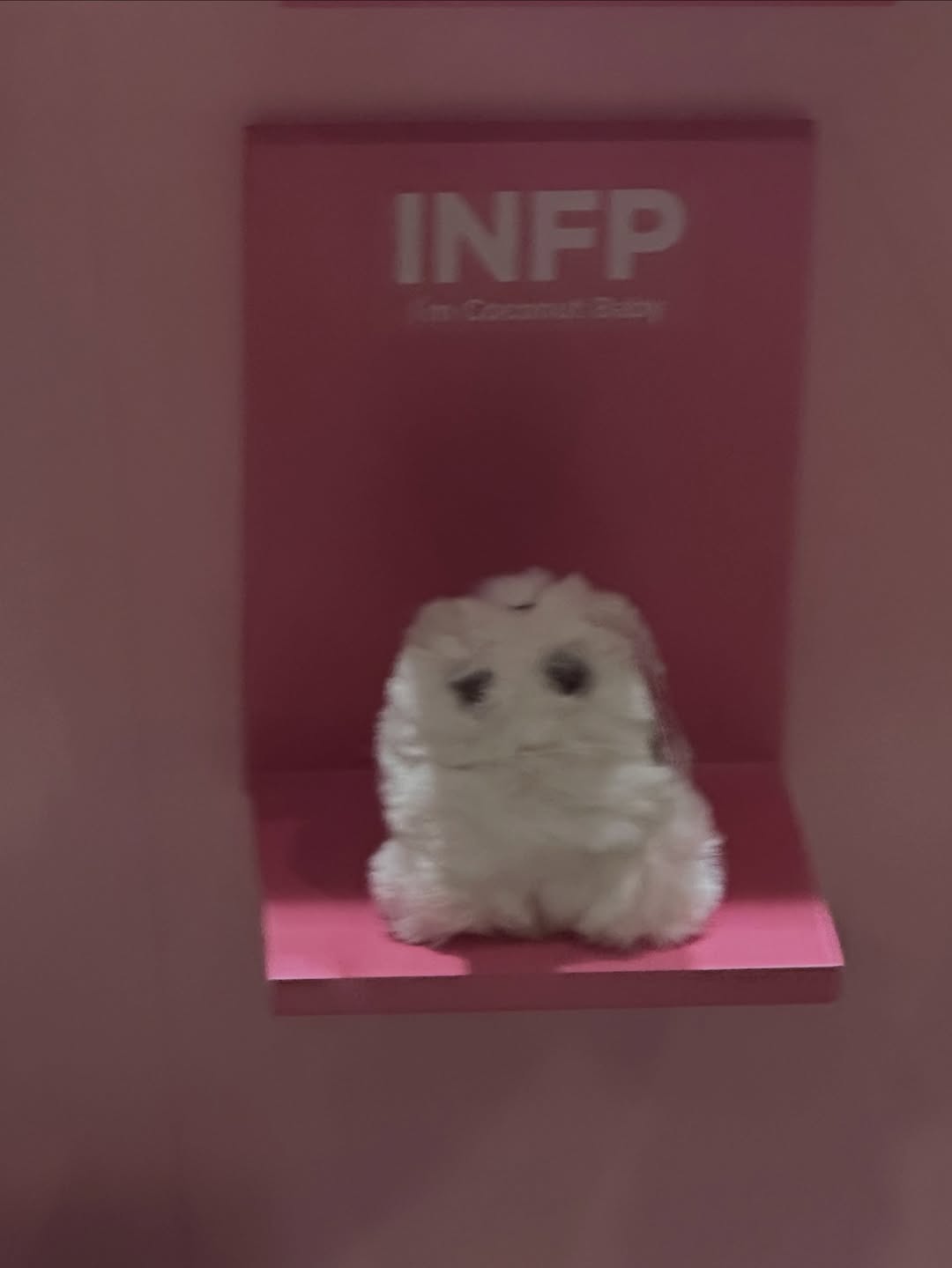 ยิปโซ - อริย์กันตา มหพฤกษ์พงศ์