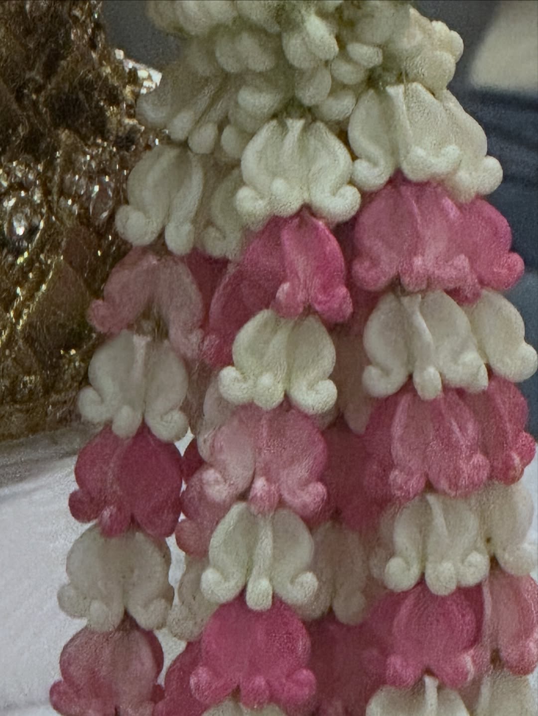 ยิปโซ - อริย์กันตา มหพฤกษ์พงศ์