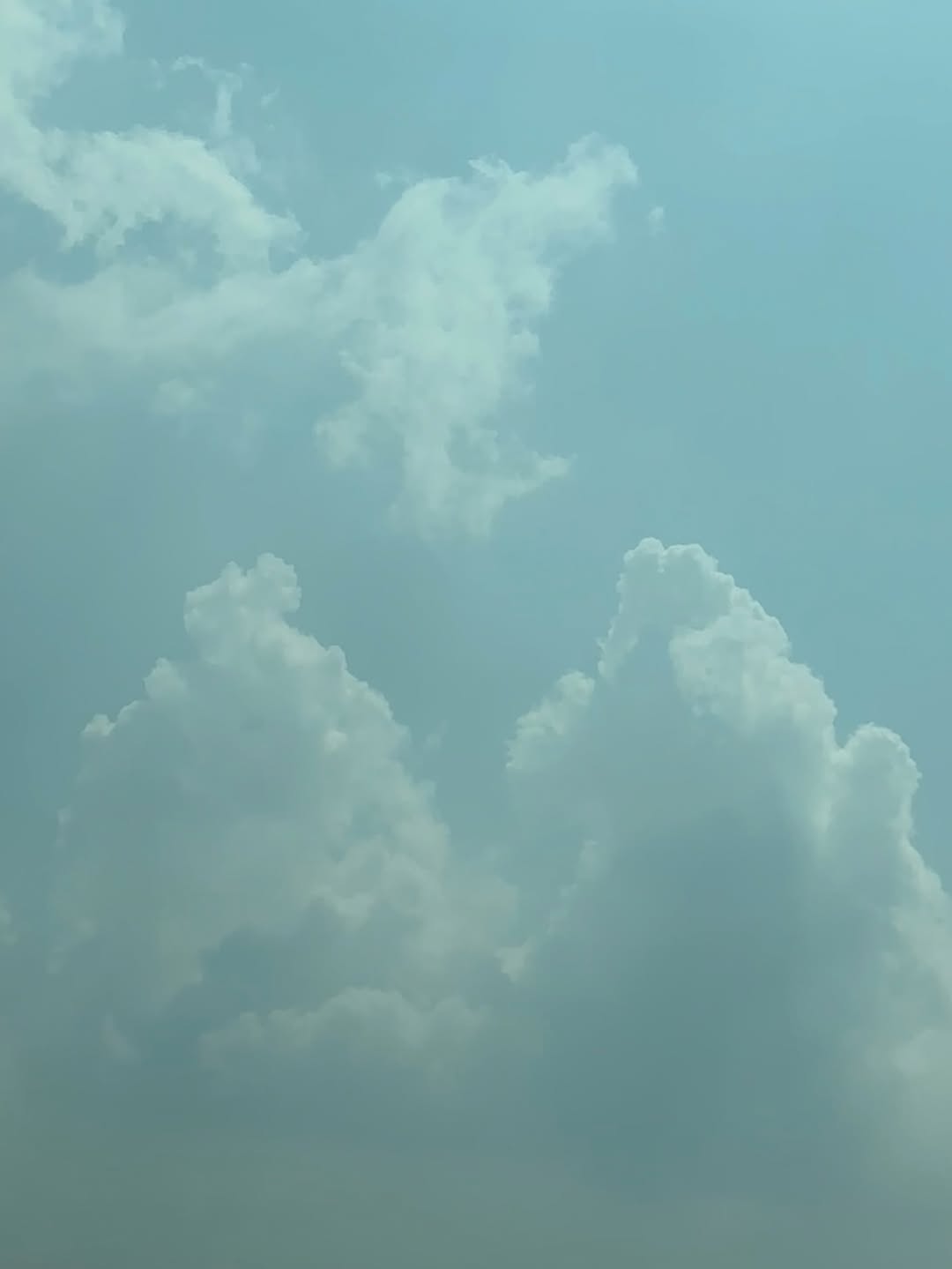 ยิปโซ - อริย์กันตา มหพฤกษ์พงศ์