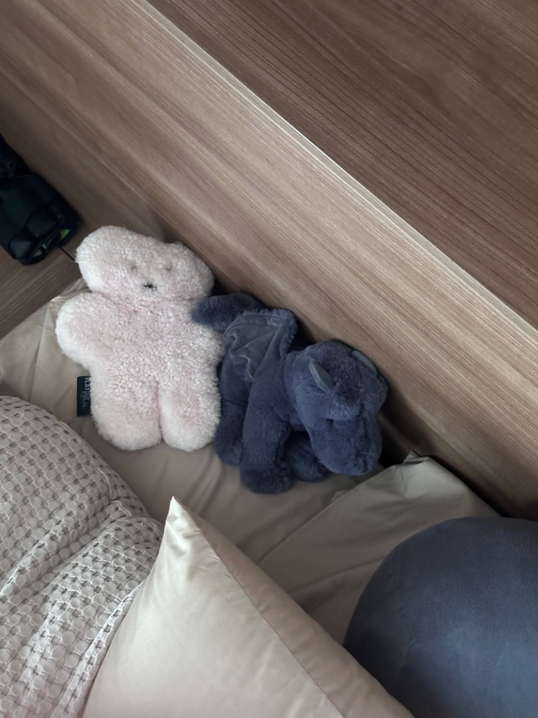 ยิปโซ - อริย์กันตา มหพฤกษ์พงศ์