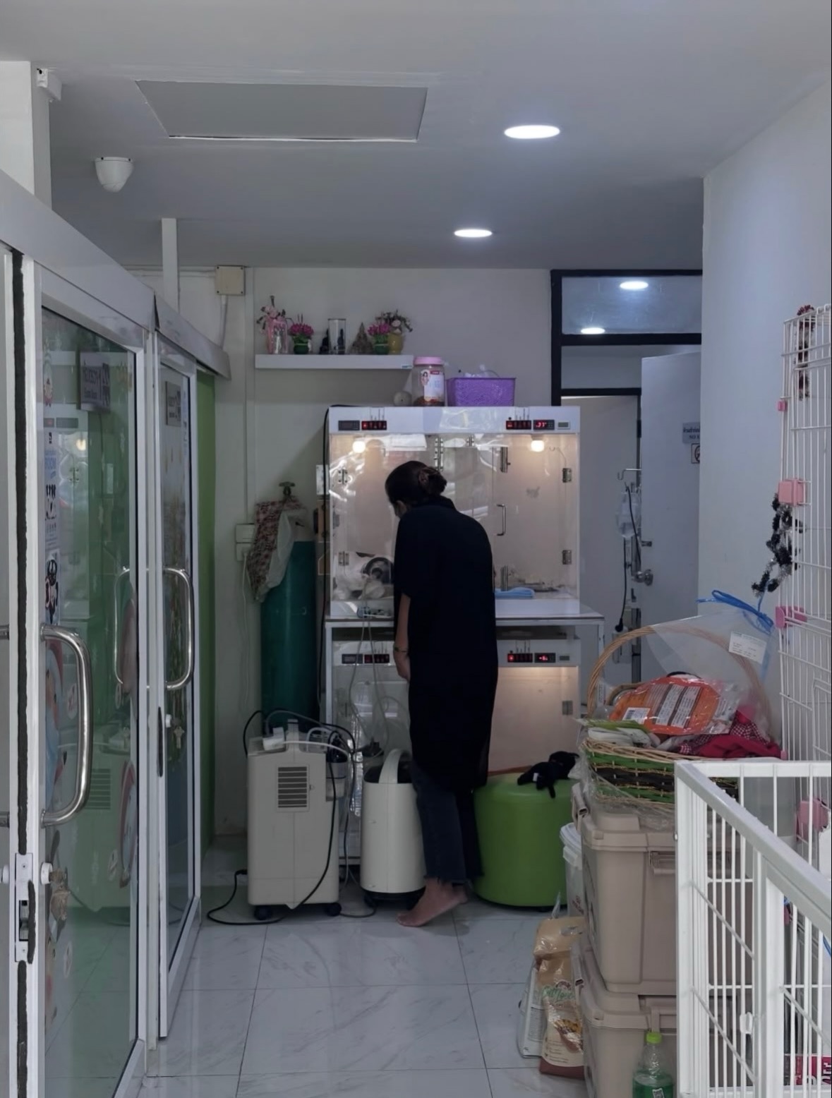 ยิปโซ - อริย์กันตา มหพฤกษ์พงศ์