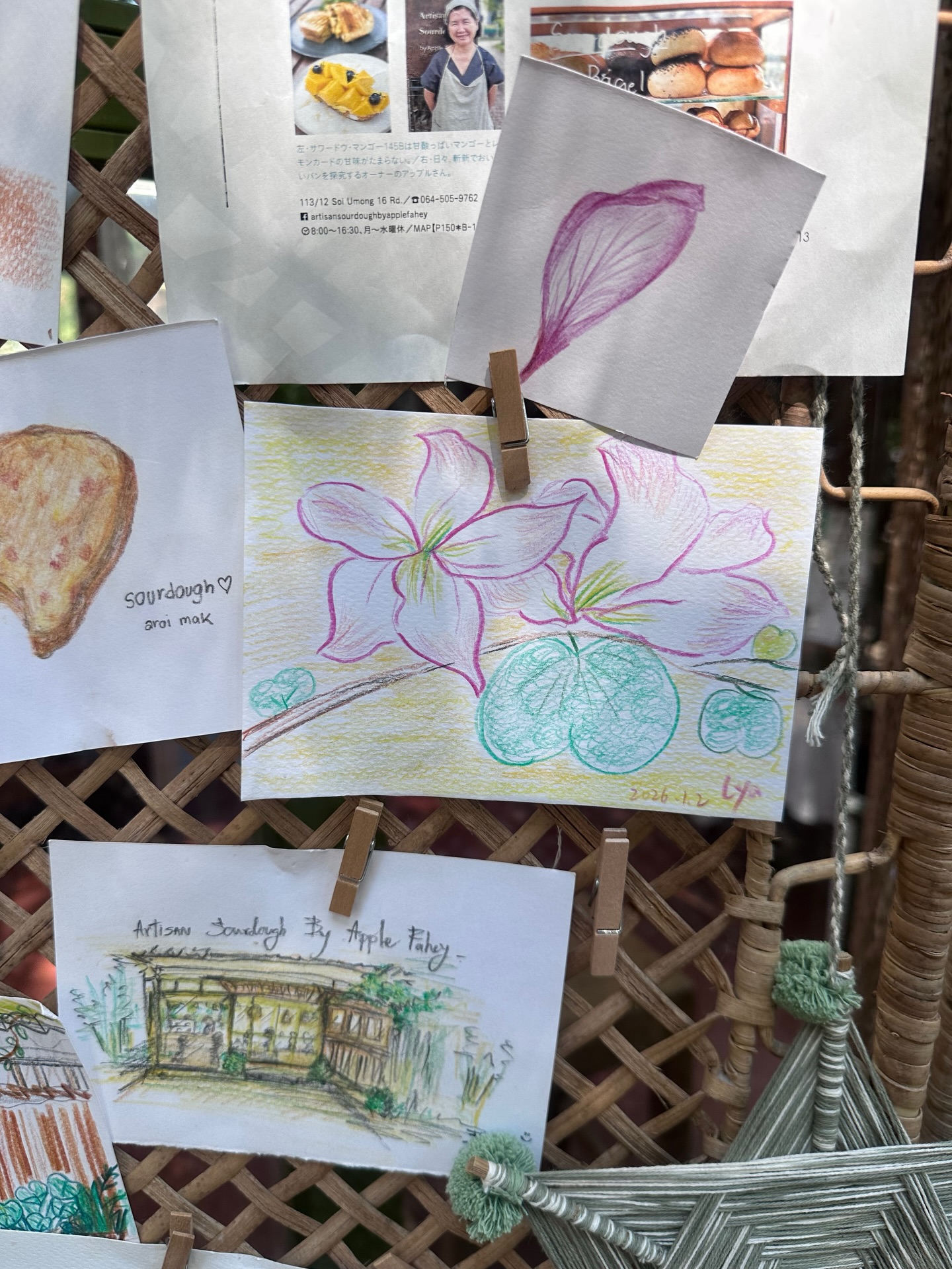 ยิปโซ - อริย์กันตา มหพฤกษ์พงศ์