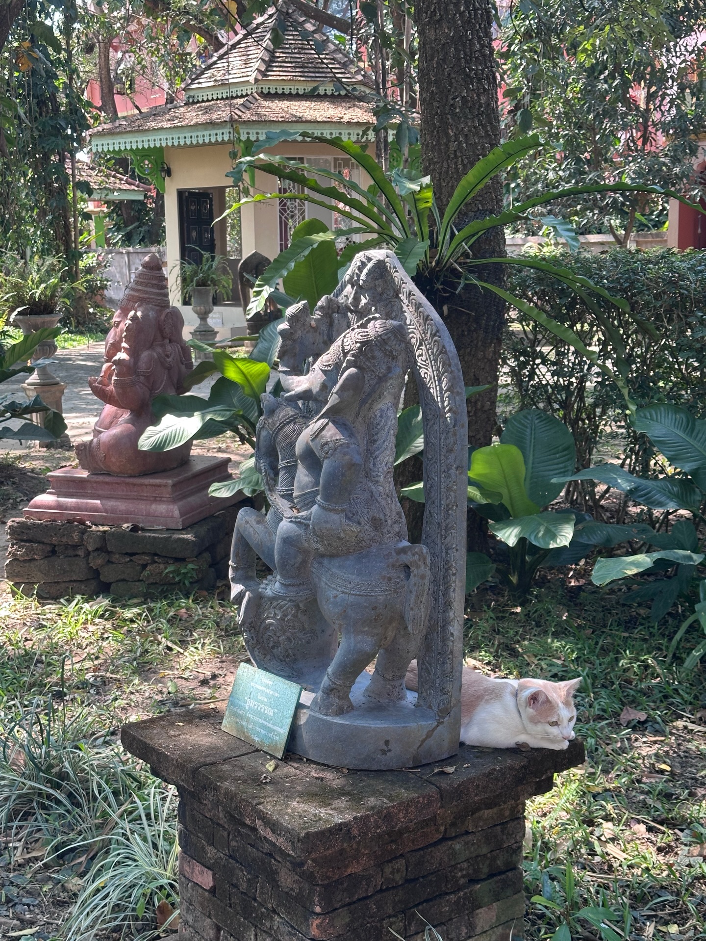 ยิปโซ - อริย์กันตา มหพฤกษ์พงศ์