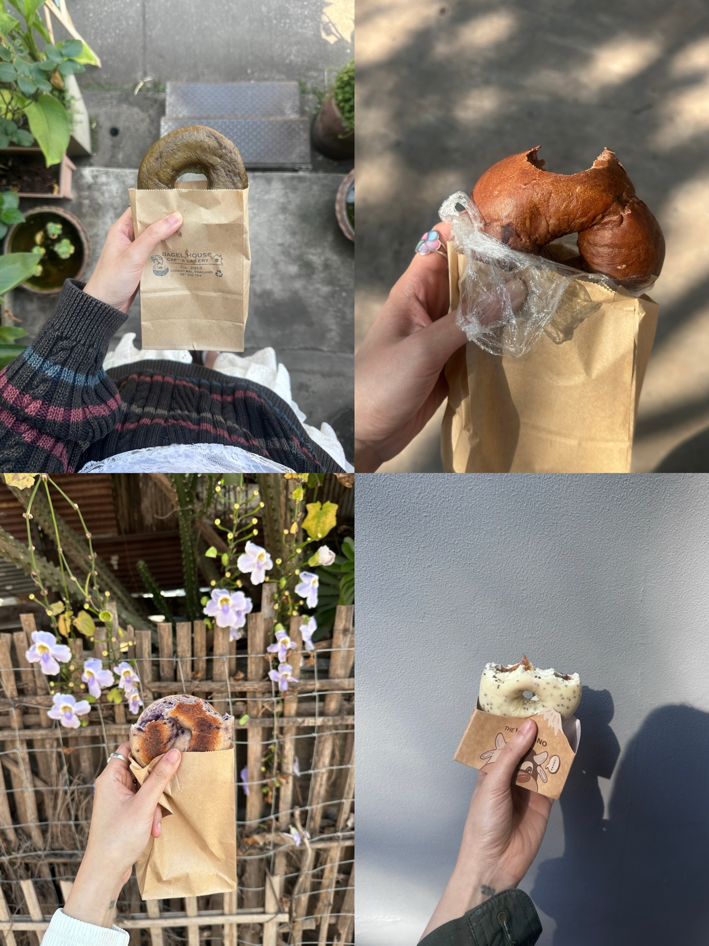 ยิปโซ - อริย์กันตา มหพฤกษ์พงศ์