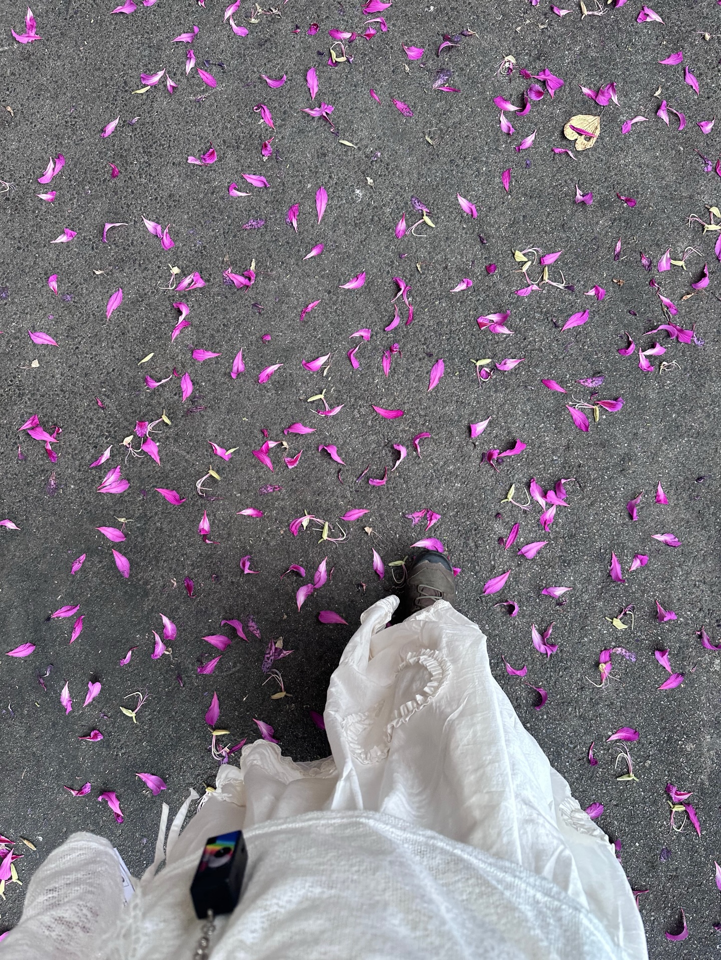 ยิปโซ - อริย์กันตา มหพฤกษ์พงศ์