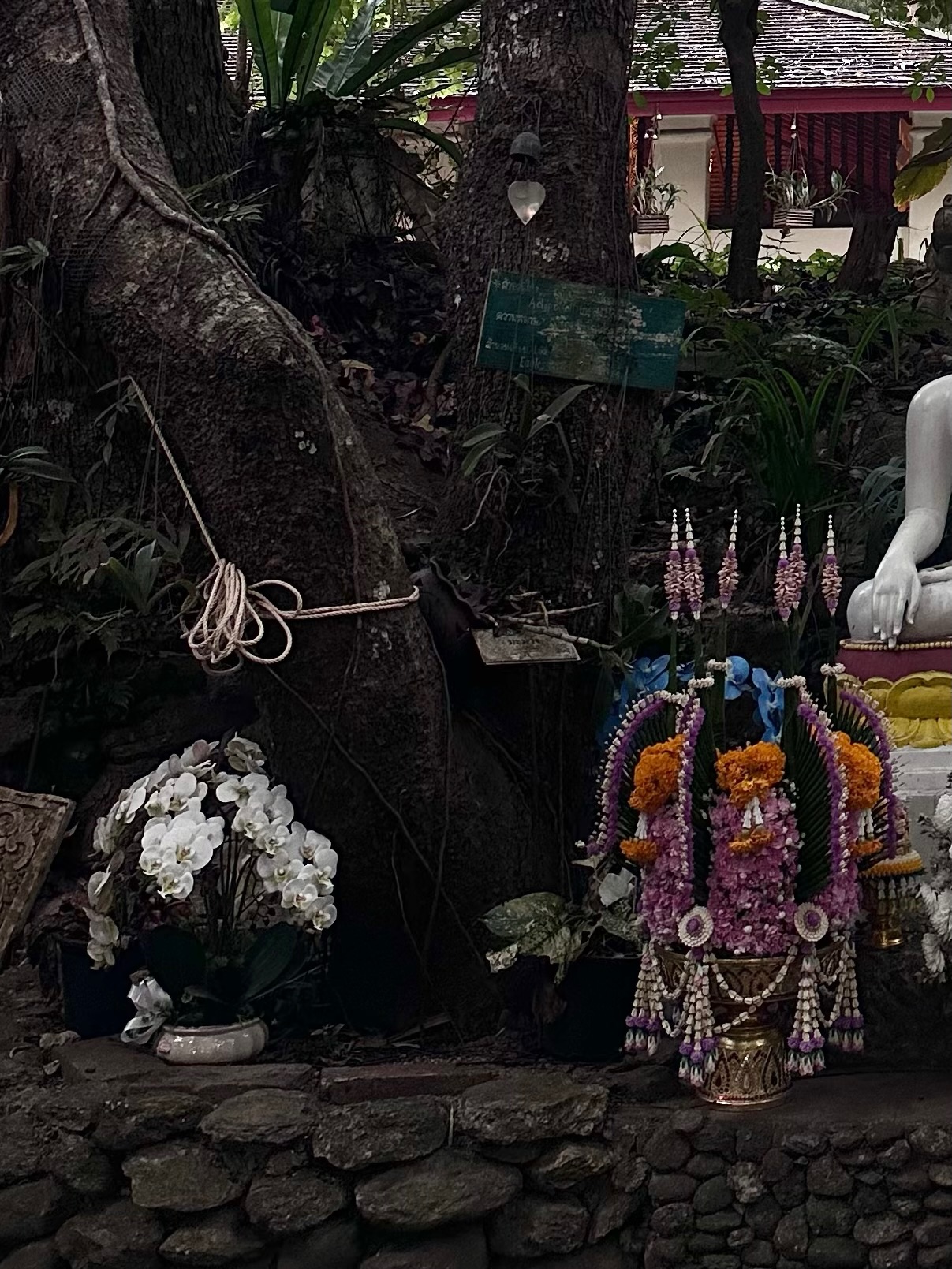 ยิปโซ - อริย์กันตา มหพฤกษ์พงศ์