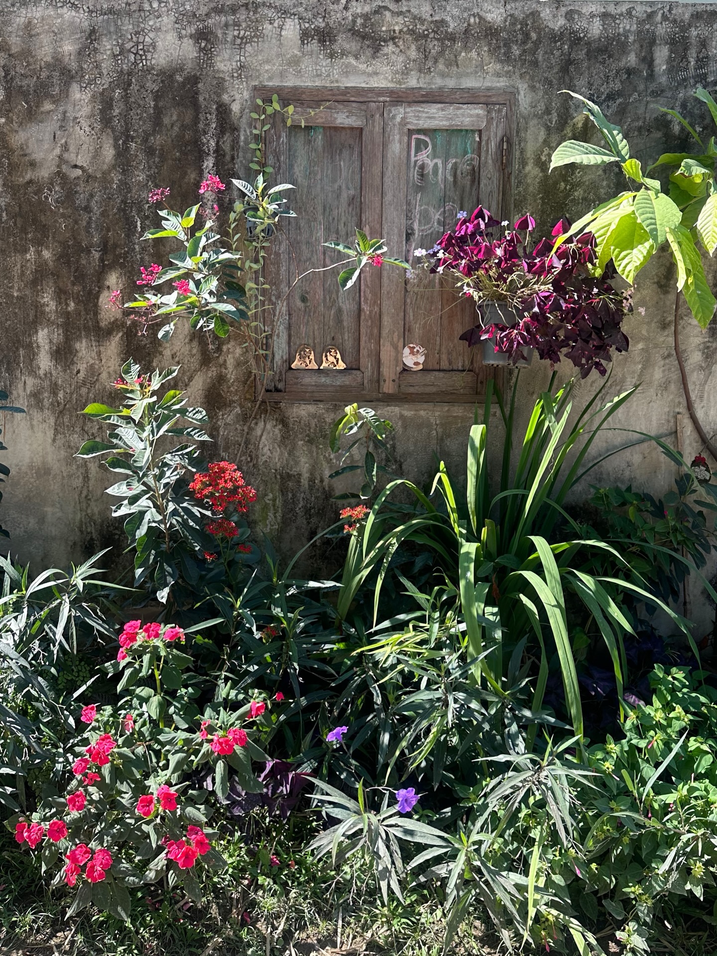 ยิปโซ - อริย์กันตา มหพฤกษ์พงศ์