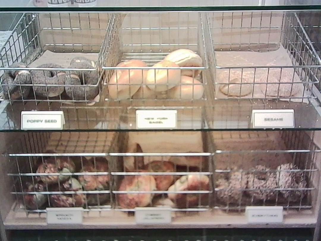 ยิปโซ - อริย์กันตา มหพฤกษ์พงศ์