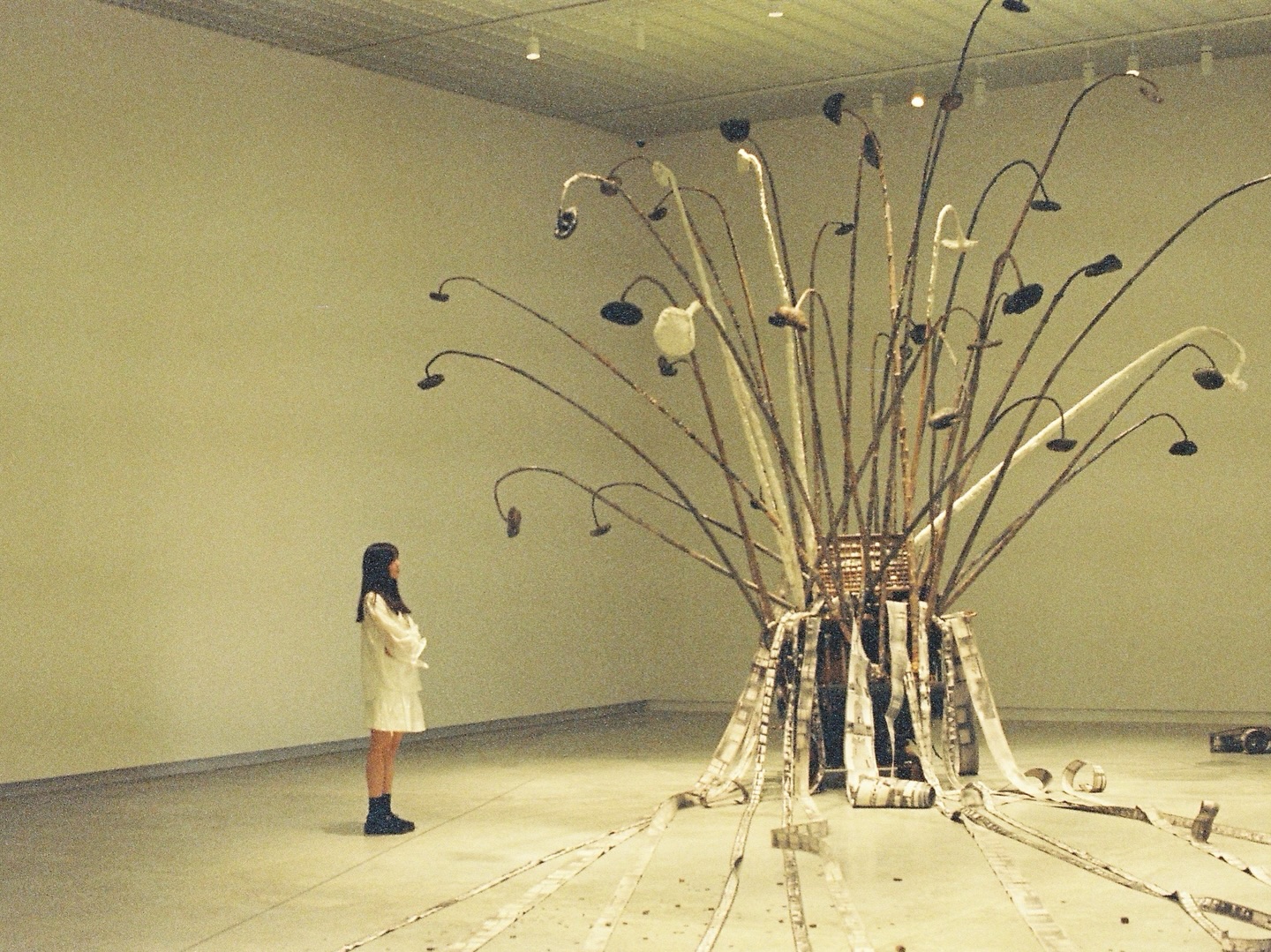 ยิปโซ - อริย์กันตา มหพฤกษ์พงศ์