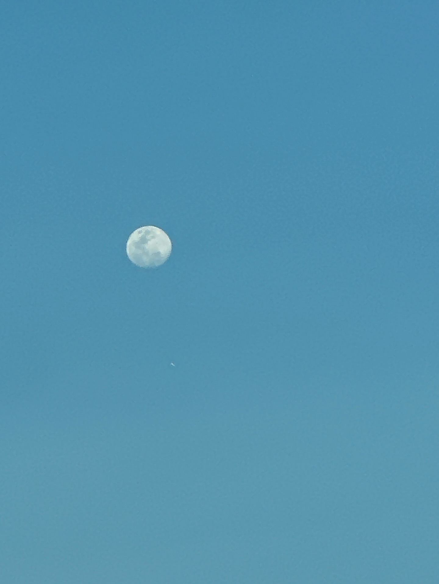 ยิปโซ - อริย์กันตา มหพฤกษ์พงศ์