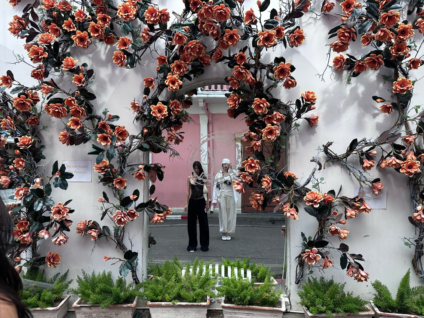 ยิปโซ - อริย์กันตา มหพฤกษ์พงศ์