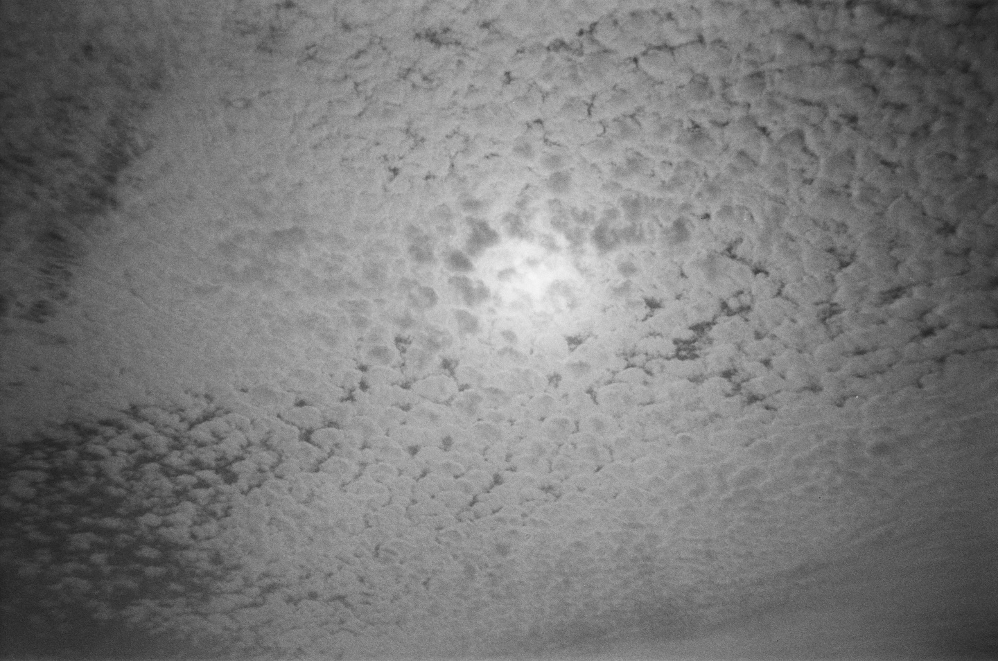 ยิปโซ - อริย์กันตา มหพฤกษ์พงศ์