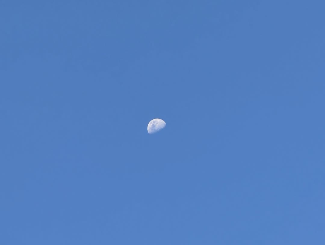 ยิปโซ - อริย์กันตา มหพฤกษ์พงศ์