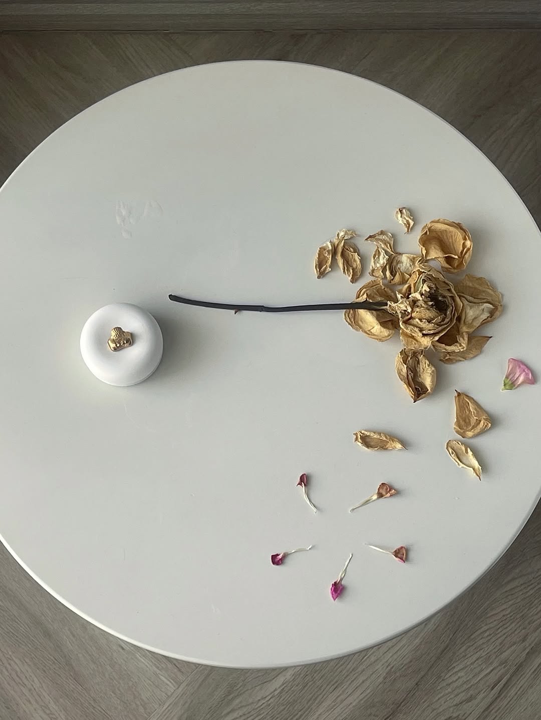 ยิปโซ - อริย์กันตา มหพฤกษ์พงศ์