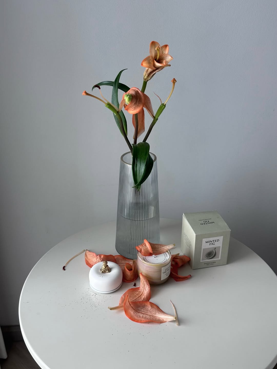 ยิปโซ - อริย์กันตา มหพฤกษ์พงศ์