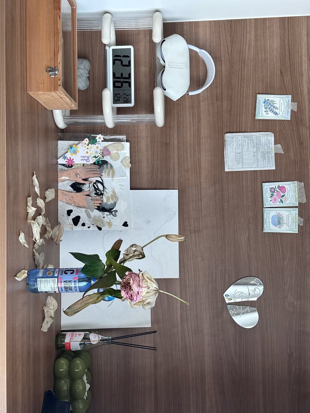 ยิปโซ - อริย์กันตา มหพฤกษ์พงศ์