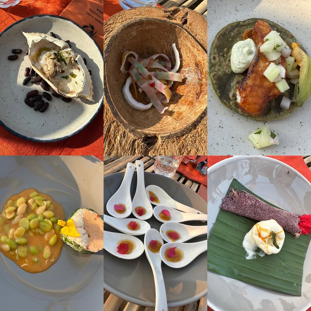 ไอด้า - ไอรดา ศิริวุฒิ